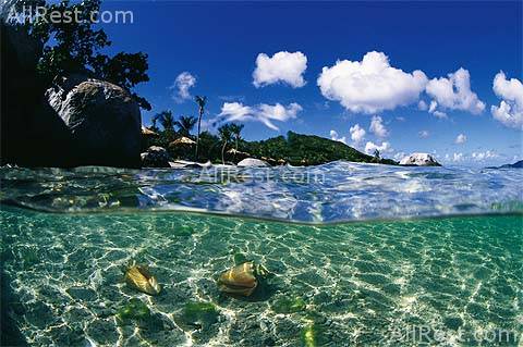 Rosewood Little Dix Bay 20
